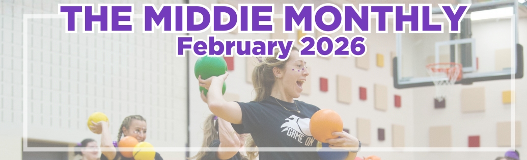 photo of teachers playing dodgeball in the gym